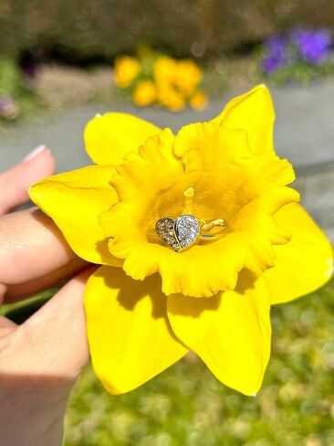 1/3 Carat Diamond and Red Ruby Heart Ring for Women in 14k White or Rose Gold cttw Promise Anniversary Ring Size 5 to 10 by LeVian in Kuwait