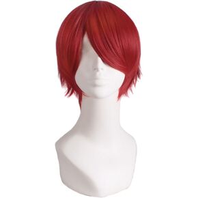 MapofBeauty 12 Inch/30cm Short Anime Cosplay Men's Full Wig(Dark Brown)