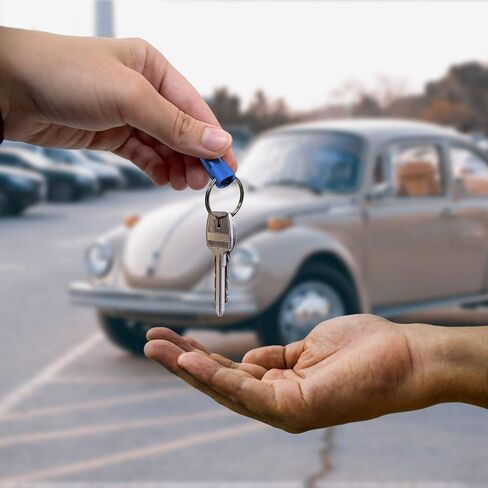 Lucky Line 3-Way Pull Apart Keychain,1 Pack, Red, Blue and Silver (71701) in Saudi Arabia