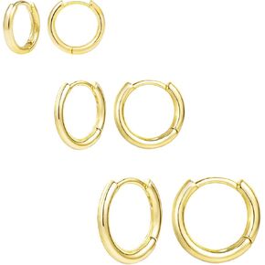 14K Gold Small Huggie Hoop Earrings for Women 925 Sterling Silver Hypoallergenic Cartilage Huggie Hoops Earrings for Men in Kuwait