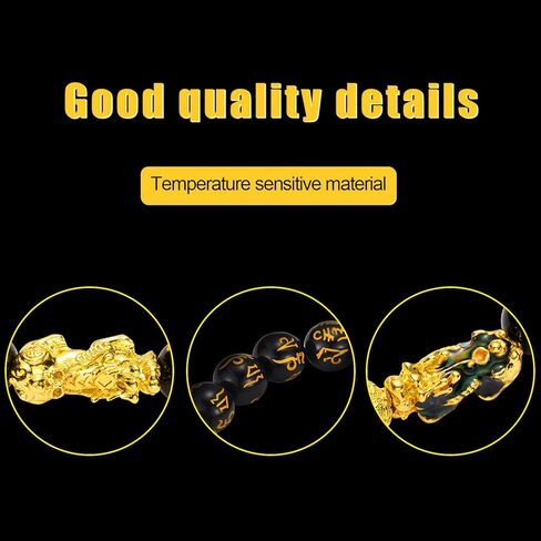 2 Pieces 12 mm Feng Shui Bead Bracelet Chinese Bracelet with Hand Carved Black Amulet Bead Bracelet Pi Xiu for Attracting Wealth and Good Luck for Women Men in Kuwait