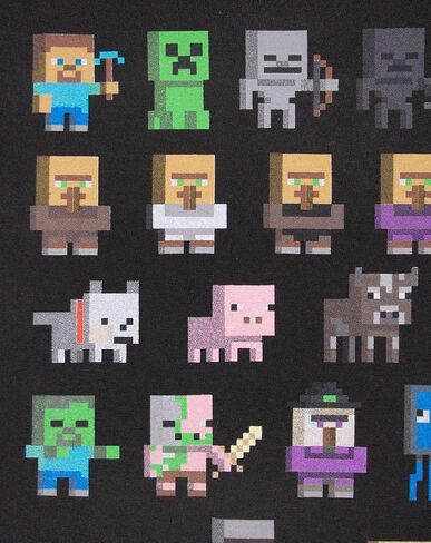 Minecraft Official Sprites Boy's Hoodie in Saudi Arabia