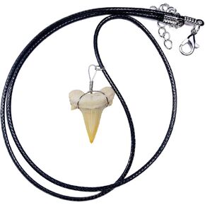 قلادة أصلية على شكل سمكة قرش من فوسيل مع صندوق مجوهرات وبطاقة معلومات in Kuwait