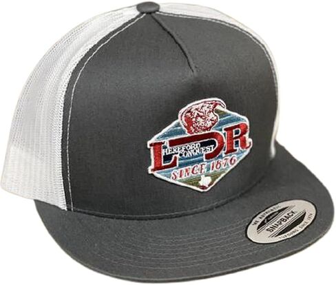 قبعة بيسبول Lazy J Ranch Wear بتصميم رعاة البقر الغربي، رمادي وأبيض مع ثور، 4 بوصات مع رقعة Conquest in Kuwait