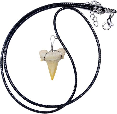 قلادة أصلية على شكل سمكة قرش من فوسيل مع صندوق مجوهرات وبطاقة معلومات in Kuwait