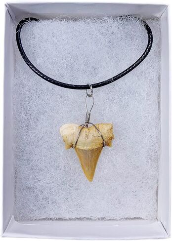 قلادة أصلية على شكل سمكة قرش من فوسيل مع صندوق مجوهرات وبطاقة معلومات in Kuwait