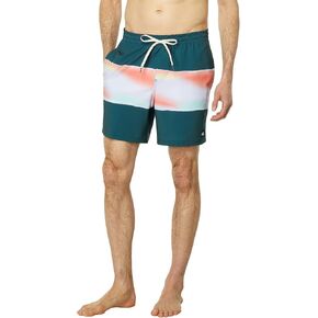Quiksilver Men's Standard Surfsilk Air-Brush 17 Volley Swim Trunk Boardshort in Saudi Arabia