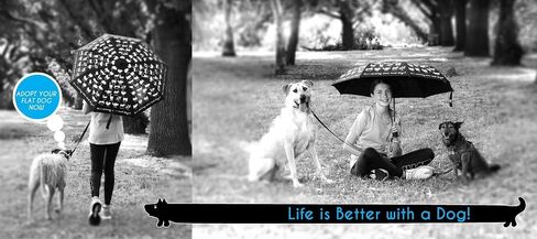 FLAT CATS & FLAT DOGS Travel Umbrella with Automatic Open & Close Function | Small, Foldable & Portable Compact Umbrella for Backpack | Windproof Umbrellas for Rain & UV Protection in Saudi Arabia