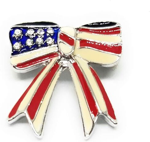 Cookie Lee American Flag Pin 25251 in Kuwait