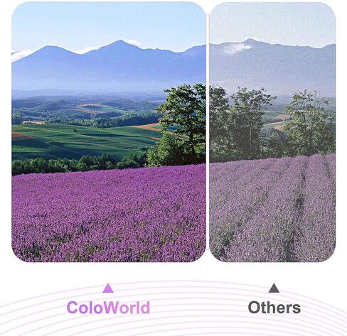 استبدال خرطوشة الحبر المعاد تصنيعها من ColoWorld لحزمة كومبو HP 74XL 75XL 74 75 (1 أسود، 1 لون) CB336WN تستخدم مع طابعة PhotoSmart C4280 C5280 C4480 C4250 DeskJet D4360 D4260 OfficeJet J5780 in Kuwait