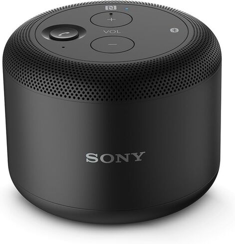 Sony 1287-2374 Box Wireless Audio System Adapter Black in Saudi Arabia