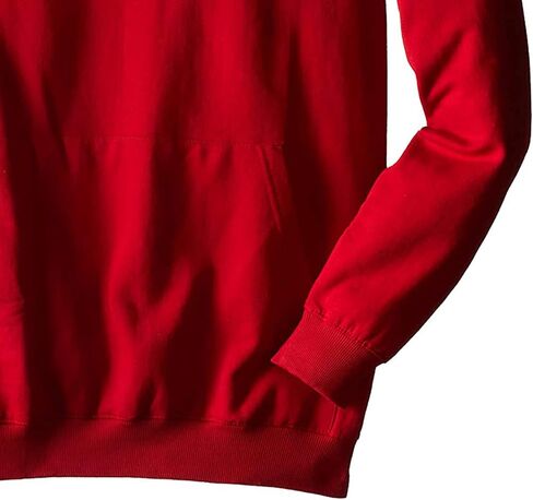 Champion Men's Big-Tall Fleece Pullover Hoodie in Saudi Arabia
