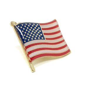 50 Bulk Waving American Flag Lapel Pins - Each Pin 1" Tall and Individually Packaged in Kuwait
