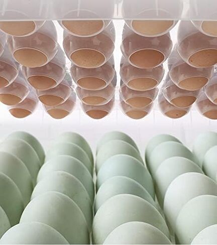 Sooyee 32 Capacity Egg Holder for Refrigerator with Time Scale,Egg Container for Refrigerator,2 Drawers Egg Storage Container/Organizer/Bin in Saudi Arabia