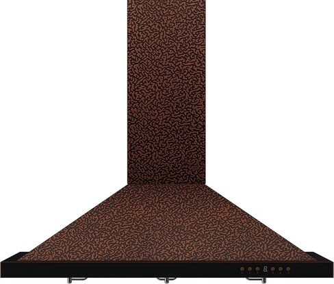 Z Line 8KBB-48 760 CFM Wall Mount Range Hood with Black Finish, 48" in Saudi Arabia