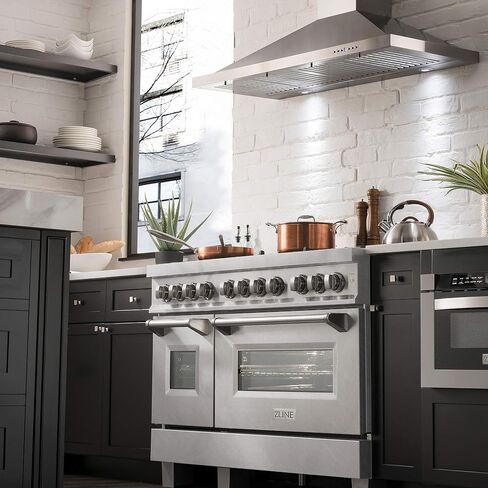 ZLINE 48 in. Professional Dual Fuel Range in Snow Stainless with Snow Stainless Door (RAS-SN-48) in Saudi Arabia