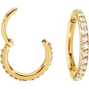 365 SLEEPERS G23 Titanium 16G Gem Hinged Segment Ring Helix Tragus Septum Nose Body Piercing Jewelry in Saudi Arabia