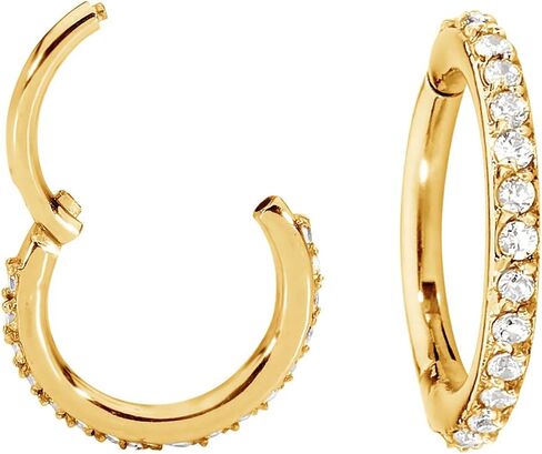 365 SLEEPERS G23 Titanium 16G Gem Hinged Segment Ring Helix Tragus Septum Nose Body Piercing Jewelry in Kuwait