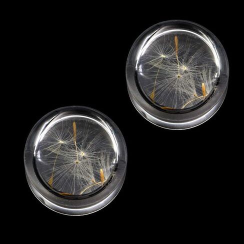 Pierced Republic Dandelion Seed & Sprout Ear Plugs - Real Seeds! - Double Flare Saddle - 8 Sizes - Pair - New in Saudi Arabia