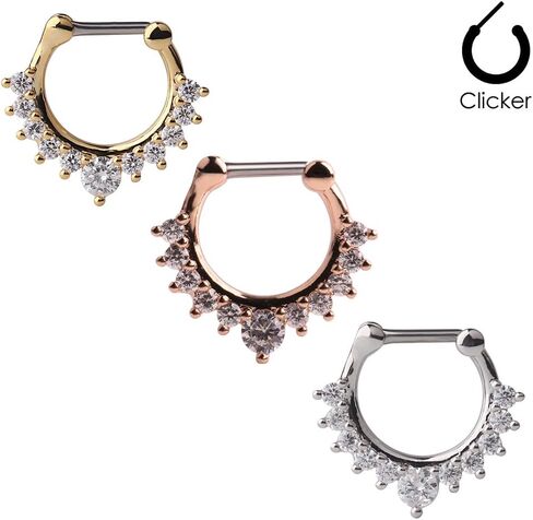 Ruifan 16G Horseshoe Circular Barbell and Nose Ear Daith Septum Clicker Ring with Clear CZ Gems 316L Surgical Steel 2-16PCS in Saudi Arabia