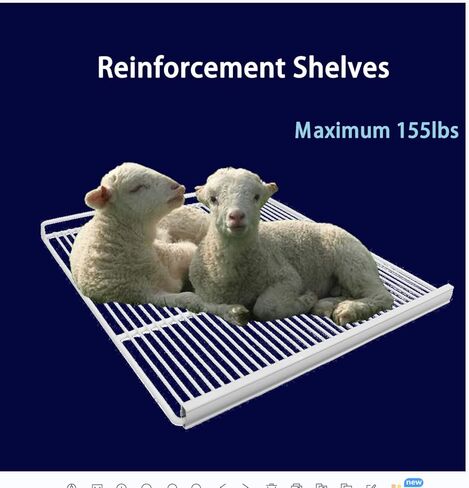 Aceland ETL Certified Commercial Freezer 2 door Stainless Steel Reach in Solid door Upright Fan Cooling Cooler for Restuarant,Bar,Shop,Residential 49 Cu.ft (Commercial Kitchen Equipment) in Kuwait