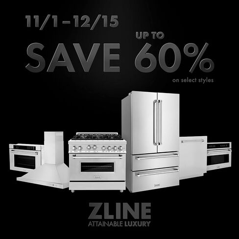ZLINE 40" Ducted Wall Mount Range Hood Insert in Stainless Steel (698-40) in Saudi Arabia