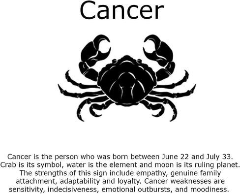 IDB Stainless Steel Astrology Constellation Zodiac Sign Pendant Necklace - Approx 1/2 Inch Pendant and 16" Chain in Kuwait