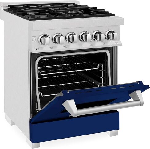 ZLINE 24" 2.8 cu. ft. Dual Fuel Range with Gas Stove and Electric Oven in DuraSnow® Stainless Steel and Blue Gloss Door (RAS-BG-24) in Saudi Arabia