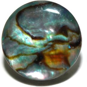 Jazzworks,LLC 12mm (1/2") Natural Abalone Paua Shell Tie Pin Tack (091) in Saudi Arabia