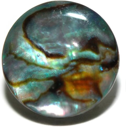 Jazzworks,LLC 12mm (1/2") Natural Abalone Paua Shell Tie Pin Tack (091) in Saudi Arabia