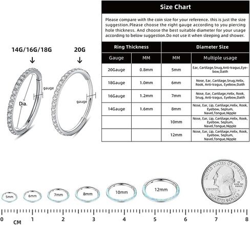 WBRWP 316L حلقة ثقب من الفولاذ المقاوم للصدأ حلقات الأنف المفصلية مع الزركون/أوبال 14G 16G 18G 20 جرام حلقة ثقب الجسم قطعة الفرس حلقات الشفاه الغضروف قطر الأقراط 8 مم 10 مم in Kuwait