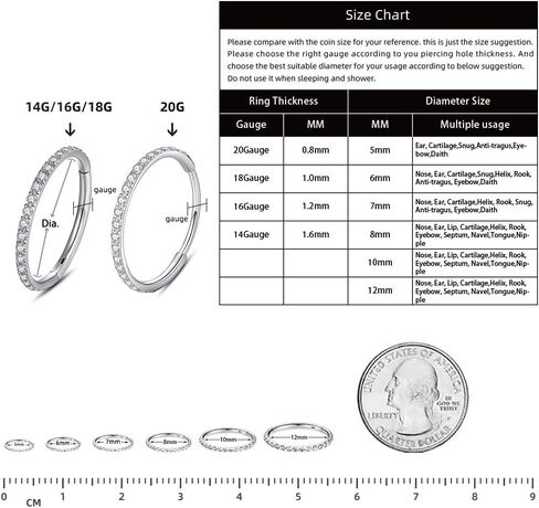 WBRWP 316L حلقة ثقب من الفولاذ المقاوم للصدأ حلقات الأنف المفصلية مع الزركون/أوبال 14G 16G 18G 20 جرام حلقة ثقب الجسم قطعة الفرس حلقات الشفاه الغضروف قطر الأقراط 8 مم 10 مم in Kuwait