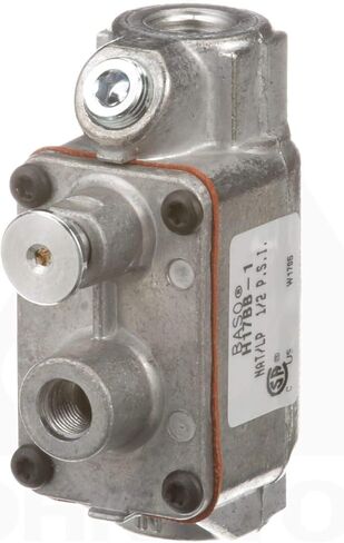 BASO Gas Products H17BB-1 Safety Valve in Saudi Arabia