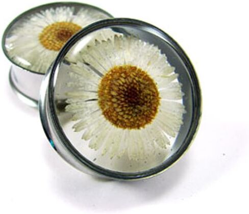 Mystic Metals Body Jewelry Embedded Real Daisy Flower Plugs - Sold As a Pair in Saudi Arabia