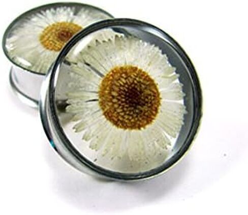 Mystic Metals Body Jewelry Embedded Real Daisy Flower Plugs - Sold As a Pair in Saudi Arabia