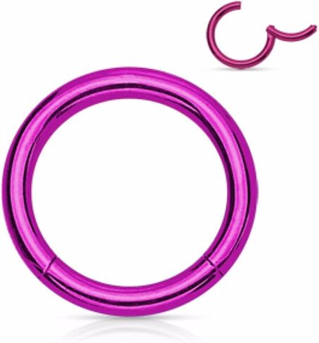 BodyJewelryOnline Steel Purple Hinged Clicker Segment Septum Lip Nose Hoop Ring Helix Daith Cartilage Tragus 20G-18G-16G-14G-12G-10G All Lengths Available in Saudi Arabia
