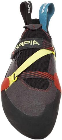 SCARPA Men's Arpia Rock Climbing Shoes for Sport Climbing and Bouldering in Kuwait