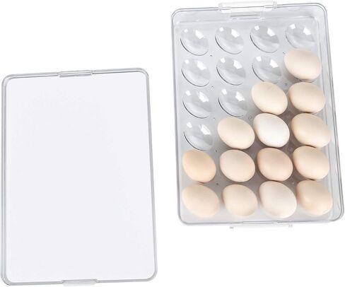 Bamlab 12 Eggs Holder for Refrigerator, Egg Container Organizer Storage for Fridge, Countertop, Clear in Saudi Arabia