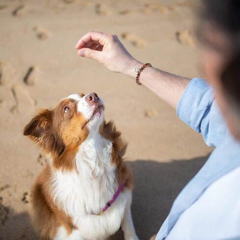 HGDEER Best Dog Mom Ever Gifts, Pet Paw Print Natural Stone Bracelet for Dog Lovers Women Girls in Saudi Arabia