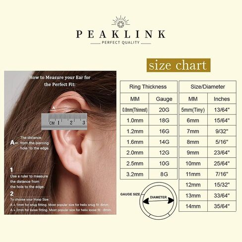 16G Cartilage Earring Hoop 316L Surgical Steel Daith Helix Conch Earrings Tragus Rook Earrings CZ Opal Septum Jewelry Seamless Clicker Nose Rings Hinged Segment Ring Hoop Earring for Women Men in Kuwait