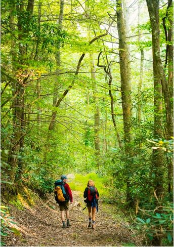 يناسب الملابس الكاجوال - الطاقم: جوارب رجالية للاستخدام اليومي، للارتداء طوال اليوم، مريح، مسامي، كاجوال، جورب صوف عالي الساق، أسود، S in Kuwait