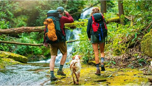 يناسب الملابس الكاجوال - الطاقم: جوارب رجالية للاستخدام اليومي، للارتداء طوال اليوم، مريح، مسامي، كاجوال، جورب صوف عالي الساق، أسود، S in Kuwait