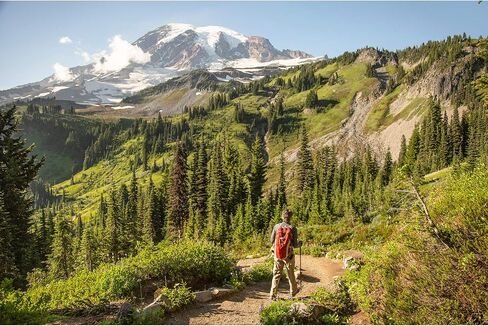 يناسب الملابس الكاجوال - الطاقم: جوارب رجالية للاستخدام اليومي، للارتداء طوال اليوم، مريح، مسامي، كاجوال، جورب صوف عالي الساق، أسود، S in Kuwait