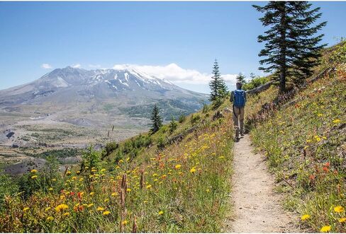 يناسب الملابس الكاجوال - الطاقم: جوارب رجالية للاستخدام اليومي، للارتداء طوال اليوم، مريح، مسامي، كاجوال، جورب صوف عالي الساق، أسود، S in Kuwait