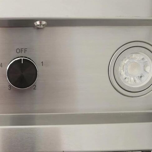Blaze Outdoor 42 Inch 304 Grade Stainless Steel Vent Hood with 2000 CFM Blowers, Higher Installation, Adjustable Light, and Commercial Style Baffles in Saudi Arabia
