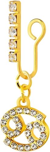 Lieson 1Pcs Mens Womens Nose Ring, Nose Rings Alloy 12 Constellations Cubic Zirconia Fake Nose Ring Nose Rings Piercing Jewelry in Saudi Arabia