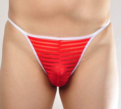 Jaxu Men's See Through Cheeky Briefs Underwear Sexy Stripe Mesh String Bikini Briefs in Kuwait