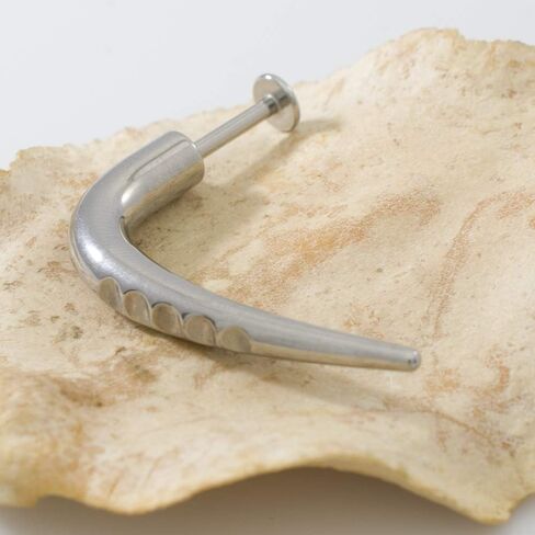 Disturbed Labret Piercing Jewelry Nitches Included14 Gauge Thickness Length 10mm 3/8" Surgical Steel Comfortable Durable Hypoallergenic Nickel-Free in Saudi Arabia