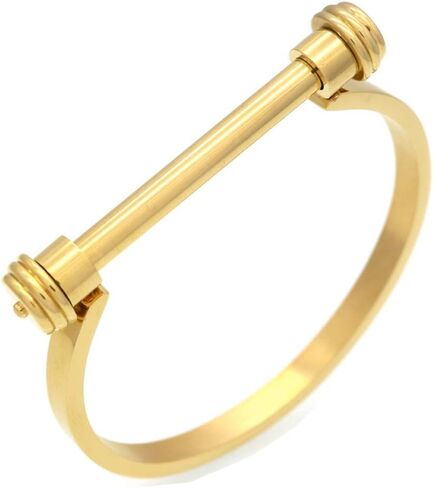 Globalwells Stainless Steel D Shape Bar Screw Shackle Bracelet Horseshoe Novelty Fashion Bangle Cuff, Unisex in Saudi Arabia