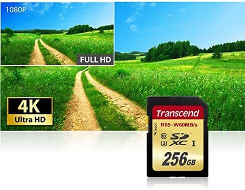 Transcend 64 GB High Speed 10 UHS-3 Flash Memory Card 95/60 MB/s (TS64GSDU3),Gold in Kuwait